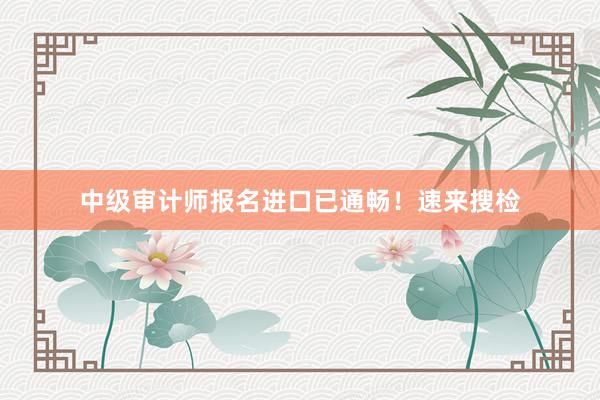 中级审计师报名进口已通畅!速来搜检